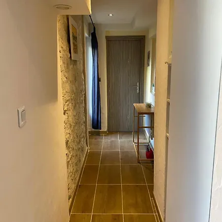 Apartment De Plain-pied Avec Jardin Avignon