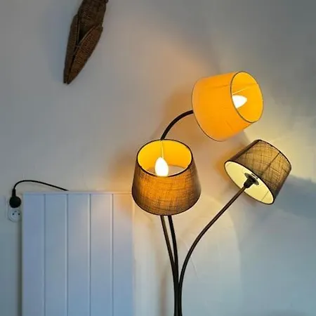 Apartment De Plain-pied Avec Jardin