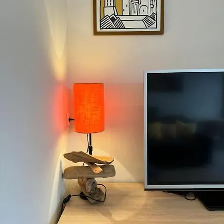 Apartment De Plain-pied Avec Jardin
